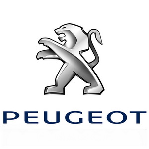 На сайт добавлены фото ковриков для Peugeot