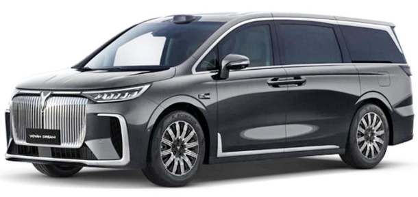 Двухслойные коврики EVA для Voyah Dream (2021->)